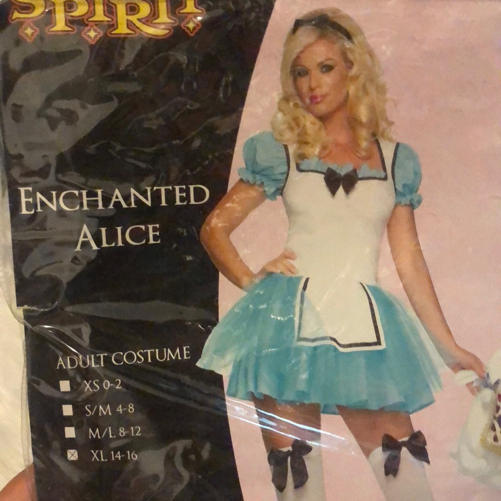 Alice in wonderland Enchanted Alice costume XL